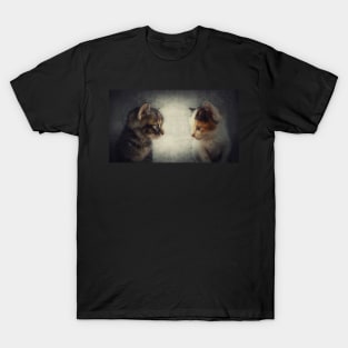 two kittens T-Shirt